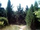 <b>Название: </b>IMAG00361, <b>Добавил:<b> Olgert<br>Размеры: 800x600, 106.7 Кб