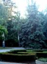 <b>Название: </b>IMAG00271, <b>Добавил:<b> Olgert<br>Размеры: 600x800, 103.6 Кб