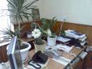 <b>Название: </b>Кактус зацвел 24.06.10, <b>Добавил:<b> Olgert<br>Размеры: 1500x1125, 194.4 Кб