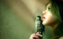 <b>Название: </b>(52), <b>Добавил:<b> Olgert<br>Размеры: 1920x1200, 356.0 Кб