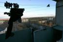 <b>Название: </b>Image 1220, <b>Добавил:<b> Olgert<br>Размеры: 800x533, 54.5 Кб