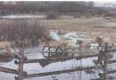 <b>Название: </b>  , <b>Добавил:<b> Olgert<br>Размеры: 600x411, 38.1 Кб