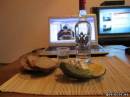 <b>Название: </b>Фотография 1, <b>Добавил:<b> Olgert<br>Размеры: 448x336, 26.6 Кб