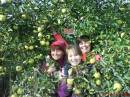 <b>Название: </b>Осень 2011 года. Мы, <b>Добавил:<b> Olgert<br>Размеры: 1500x1125, 349.3 Кб