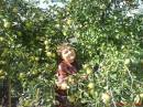 <b>Название: </b>Осень 2011 года. Оксана, <b>Добавил:<b> Olgert<br>Размеры: 1500x1125, 383.7 Кб
