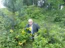 <b>Название: </b>Городец. Дикая азалия, <b>Добавил:<b> Olgert<br>Размеры: 1600x1200, 544.0 Кб
