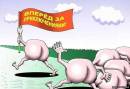 <b>Название: </b>Фотография 1, <b>Добавил:<b> Olgert<br>Размеры: 600x414, 41.4 Кб