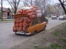 <b>Название: </b>Фотография 1, <b>Добавил:<b> Olgert<br>Размеры: 600x449, 56.4 Кб
