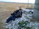<b>Название: </b>017, <b>Добавил:<b> goe<br>Размеры: 1600x1200, 631.7 Кб