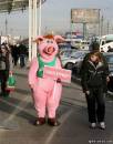 <b>Название: </b>Фотография 1, <b>Добавил:<b> Olgert<br>Размеры: 388x490, 108.3 Кб