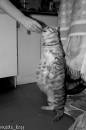 <b>Название: </b>Фотография 1, <b>Добавил:<b> Olgert<br>Размеры: 430x645, 47.2 Кб