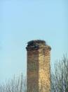 <b>Название: </b>P3261740, <b>Добавил:<b> goe<br>Размеры: 1712x2288, 620.3 Кб