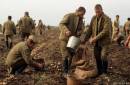 <b>Название: </b>23_tend_podborka, <b>Добавил:<b> Olgert<br>Размеры: 640x419, 76.4 Кб